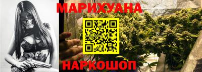 прущие грибы Бердск