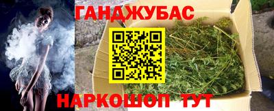 прущие грибы Бердск