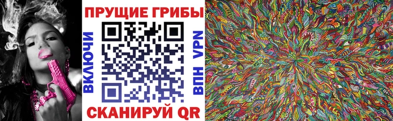 Галлюциногенные грибы Psilocybine cubensis  Алексин 