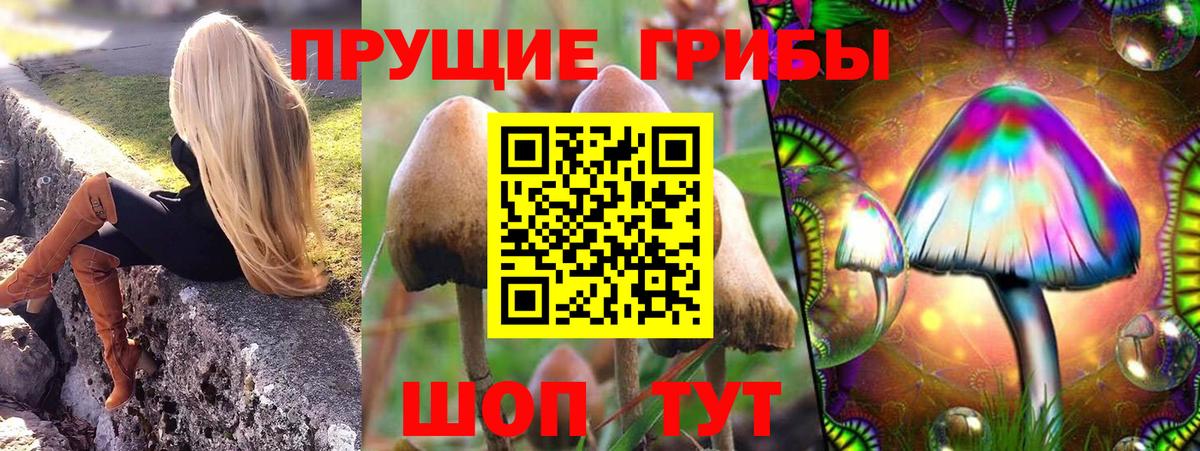 Псилоцибиновые грибы ЛСД  Вход с VPN  Алексин  купить закладку  Галлюциногенные грибы Psilocybine cubensis 